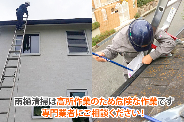 雨樋掃除はプロにお任せください