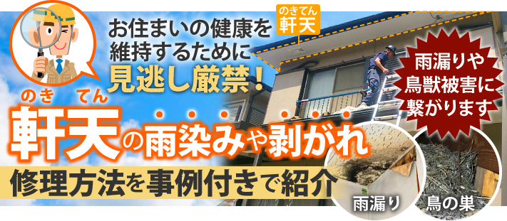 実際に現地で点検を行ったところ、以下の不具合が確認できました。