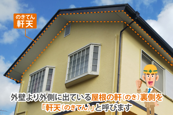 軒天の穴あきを放置すると…？  軒天に穴があいたまま放置してしまうと、雨水が入り込んで木材が腐食したり、軒天材そのものが崩れて落ちてしまうことがあります。さらに、その穴から鳥やネズミなどの小動物が入り込み、住み着いてしまうケースも…。建物内部の被害が広がる前に、早めの修理が大切です！
