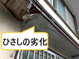 ひさし