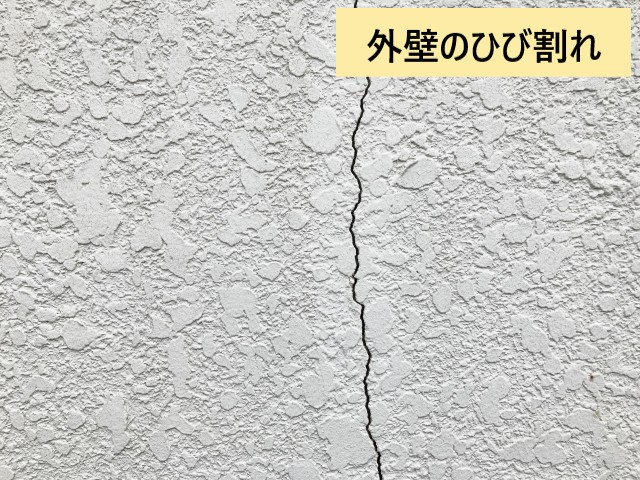 ヒビ