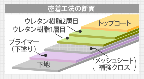 トップコート断面