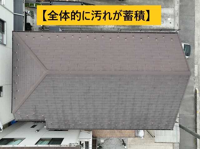 全体的
