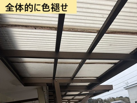 色褪せ
