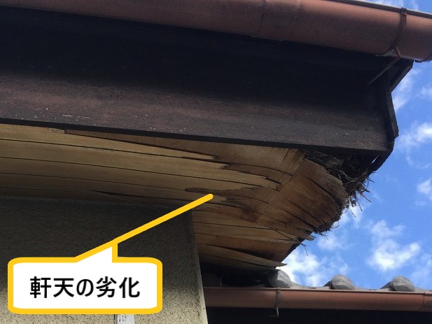 軒天