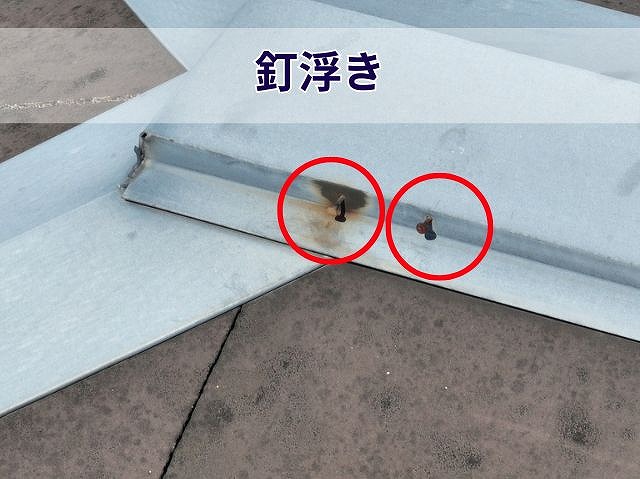 棟板金の釘浮き拡大