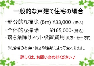 掃除