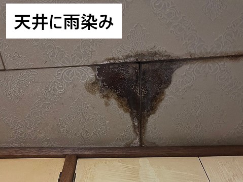 雨染み